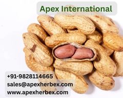 Raw Peanut
