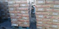 Top Quality Frozen Chicken Feet Paws Frozen Chicken Legs - Image 1