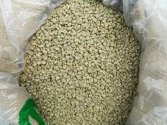Arabica - Image 2