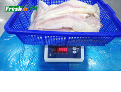 LIGHT PINK PANGASIUS FILLET ( SKIN LESS) - Image 2