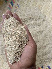 Sesame seeds  – product photo 2, product detail gallery
