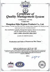 ISO 9001 certificate from Hangzhou Special Nonwovens Co., Ltd.