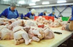 Chicken Products - Image 3