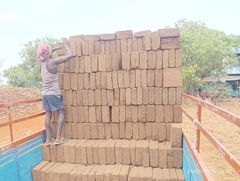 Cocopeat Block High EC - Image 5