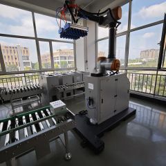 Automated Packaging Machine Case Packing Line Conveying Unboxing Filling, Sealing, Packing and Palletizing Machine - Image 2