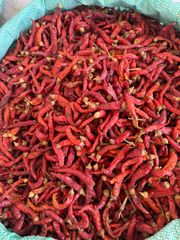 Sindh Hybrid Red Chilli 042 – A+ Grade - Image 1