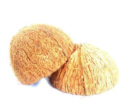 Coconut Shell – product photo 1, product detail gallery