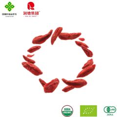 Organic Goji Berries Small Package for Budget Friendly Health Snacks - Image 2