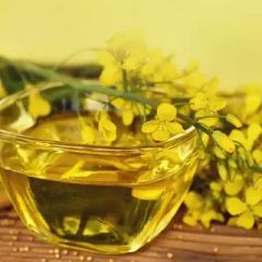 Rapeseed Oil Refined in Flexitanks by 1 MT (abiut 8000 litres) - Image 1