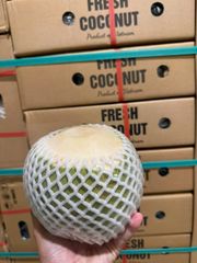 Diamond shape, young coconut Grade Class A Port Ho Chi Minh Type Xiem Variety Grown In Mekong Delta Packaging 9 pcs/carton - Image 6