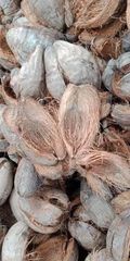 Coconut Shells [Husk] Wholesale Supply - Image 4