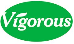 Changsha Vigorous-Tech Co., Ltd.
