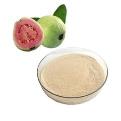 Top Quality And Lowest Price Natural Guava Fruit Fresh Guava Powder Pure Guava Fruit Powder - Xi'an HerbSpirit Technology Co., Ltd.
