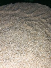 sesame seed – product photo 4, product detail gallery
