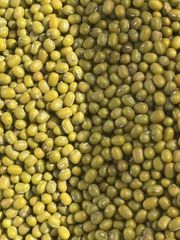 Green Mung Beans 4+ mm Polished, Whole Vigna Radiata, Bulk Wholesale, Uzbekistan, Crop 2026 – product photo 1, product detail gallery