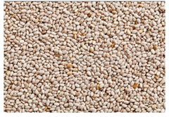 White Chia seeds – product photo 1, product detail gallery