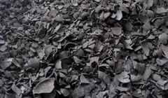COCONUT SHELL CARBON Moisture Content 8.15. Ash Content 2.67. Volatile Matter 12.90. Fixed Carbon 76.28 - Image 2