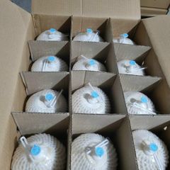 Fresh Coconut – product photo 2, product detail gallery