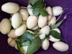 Fresh mango, Fresh Chiilli, Frozen Chiilli – product photo 1, product detail gallery