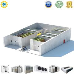 500 Square Meter Cold Storage Refrigerator, Cold Room Refrigerator - Image 5