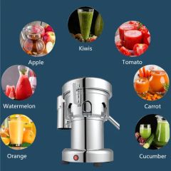 Factory New Style Multifunction Fruit Vegetable Juicer Processing Machine - Image 4