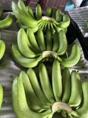 Premium Cavendish Banana – product photo 3, product detail gallery