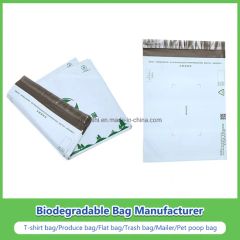 Plastic Printing Bubble Express Bag LDPE Mailing Bag - Image 2