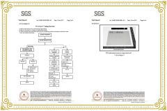SGS-2 certificate from Shenzhen Tsingbuy Industry Company Limited