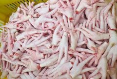 Frozen Chicken Feet and Paw - Image 1