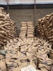 Burundi Arabica Green Coffee - Image 1