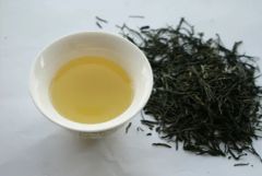 Wholesale Detox Slimming Tea Beautiful Pine Needle Green Tea - Image 6