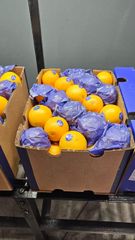Grade A and B Fruits and Vegetables - Image 1