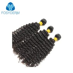 Curly Hair Small Curls Women Wig Black Human Hair - Jinan Fosychan International Trading Co., Ltd.