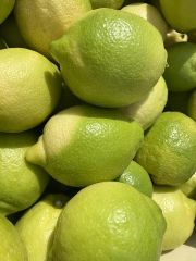 FRESH GREEN SEEDLESS LEMONS FOR SALE!! CLASS 1 EXPORT QUALITY EUREKA LEMONS FOR EXPORT – product photo 4, product detail gallery