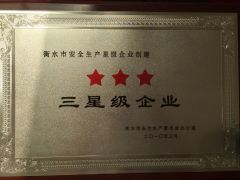 Hengshui three-star enterprise certificate from Hebei Yizhuo New Material Technology Co., Ltd.