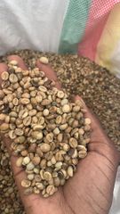 Arabica and robusta coffee – product photo 4, product detail gallery
