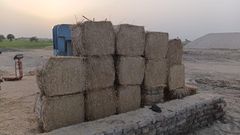 Wheat Straw - Image 2