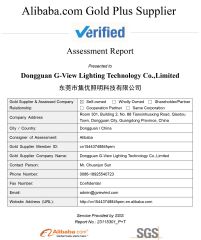 SGS certificate of Dongguan G-View Lighting Technology Co., Limited – certificate photo, supplier certificates section