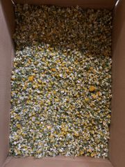 chamomile Origin Africa Form Whole Flowers & Tbc Plant Family Daisy Family Botanical Source Chamomile Container Size 20 Ft, 40 - Image 2