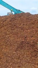 Coconut Shell Raw - Image 3