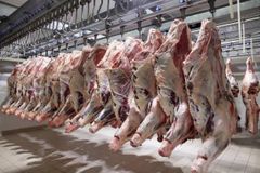 FRESH BULL MEAT Beef - Image 2