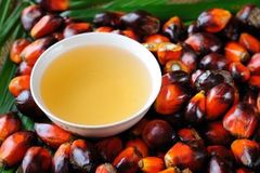 RBD Palm Olein CP10 – product photo 1, product detail gallery