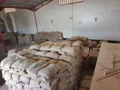 100% Arabica Single Origin Kenya Green Coffee – product photo 2, product detail gallery