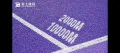 Through Multiple Checks Long-Lasting Color Rubber Running Track for Tournament - Image 4