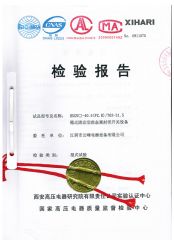 Type test report certificate from Wuhan Feite Electric Co., Ltd.