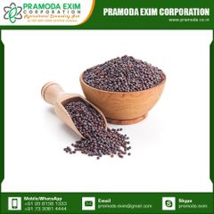 High Grade Natural Black Mustard Single Spices & Herbs From Indian Manufacturer - Image 2