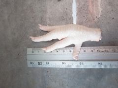 Frozen chicken feet – product photo 1, product detail gallery