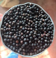 Premium Kerala Black Pepper Whole – 500 GL / 550 GL - Image 4