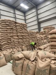 Ethiopian Green Bean Coffee - Image 1