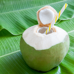 Green Coconut – product photo 3, product detail gallery